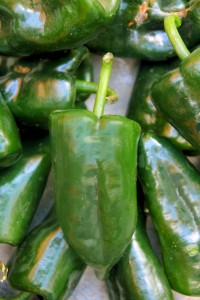 Nature's perfect beauty - the versatile Poblano